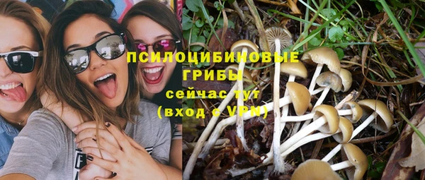 героин Алзамай