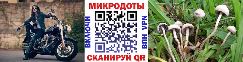 Галлюциногенные грибы ЛСД  blacksprut ссылки  Кувшиново 